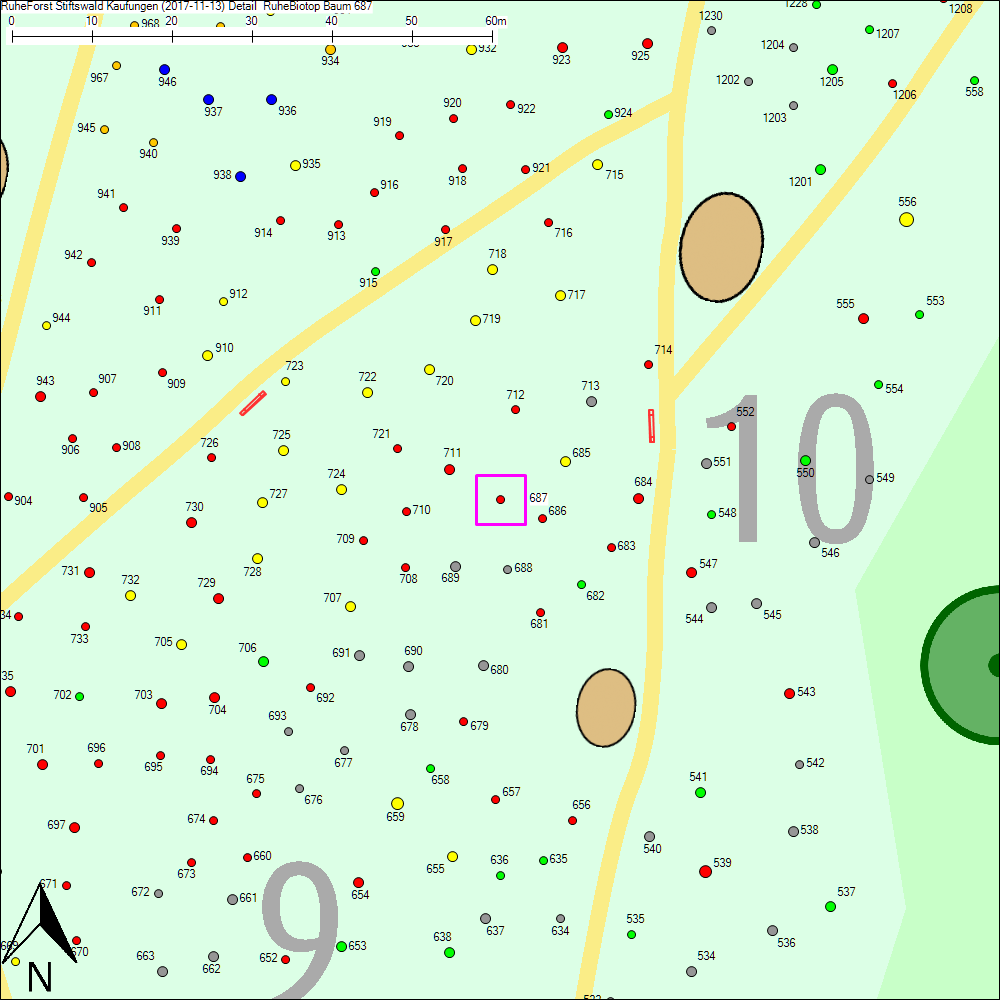 Detailkarte zu Baum 687