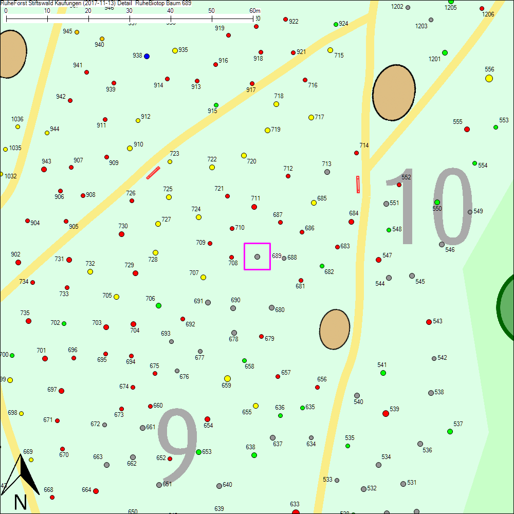 Detailkarte zu Baum 689