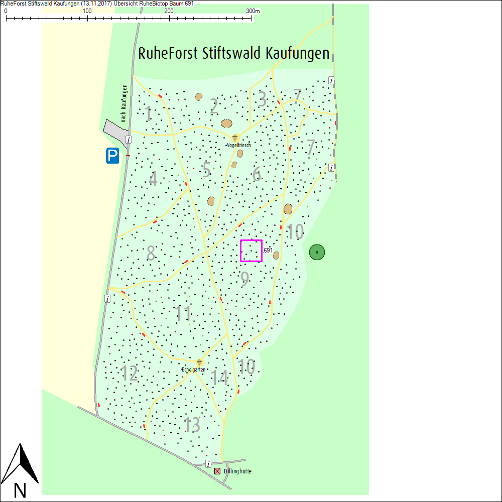 &Uuml;bersichtskarte zu Baum 691