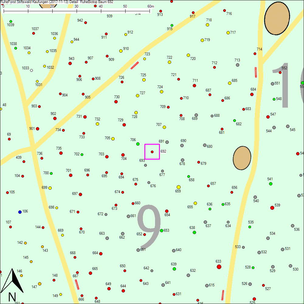Detailkarte zu Baum 692