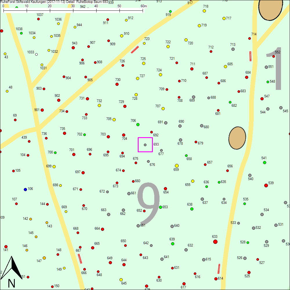 Detailkarte zu Baum 693