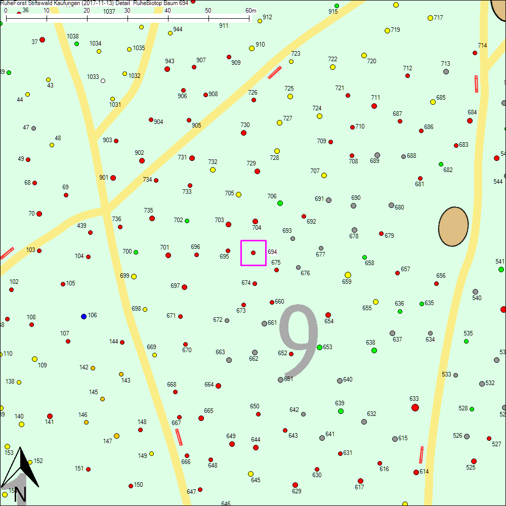Detailkarte zu Baum 694