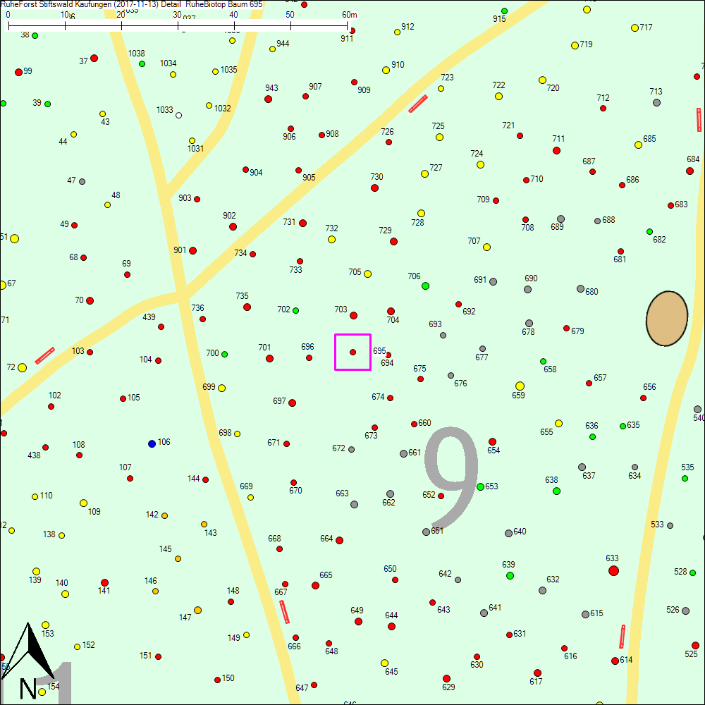 Detailkarte zu Baum 695