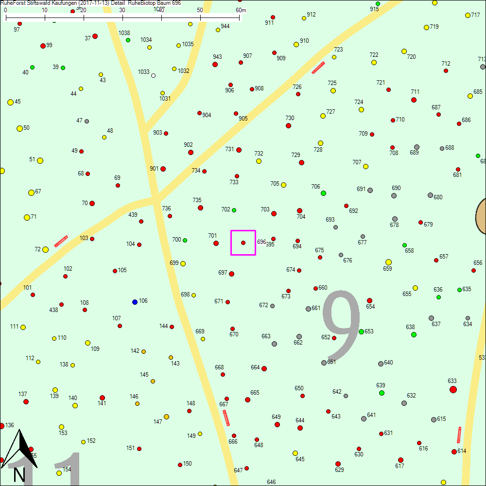 Detailkarte zu Baum 696