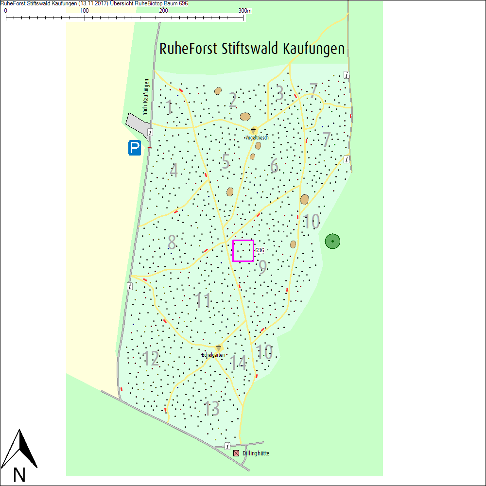 &Uuml;bersichtskarte zu Baum 696