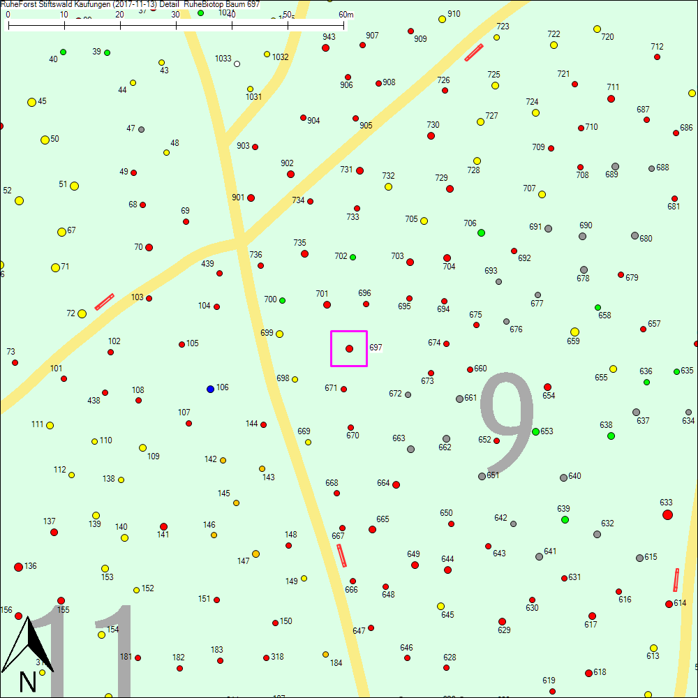 Detailkarte zu Baum 697
