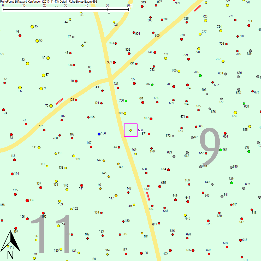 Detailkarte zu Baum 698