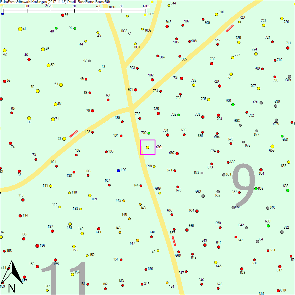 Detailkarte zu Baum 699