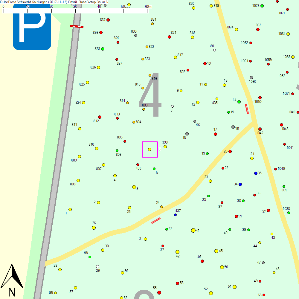 Detailkarte zu Baum 6