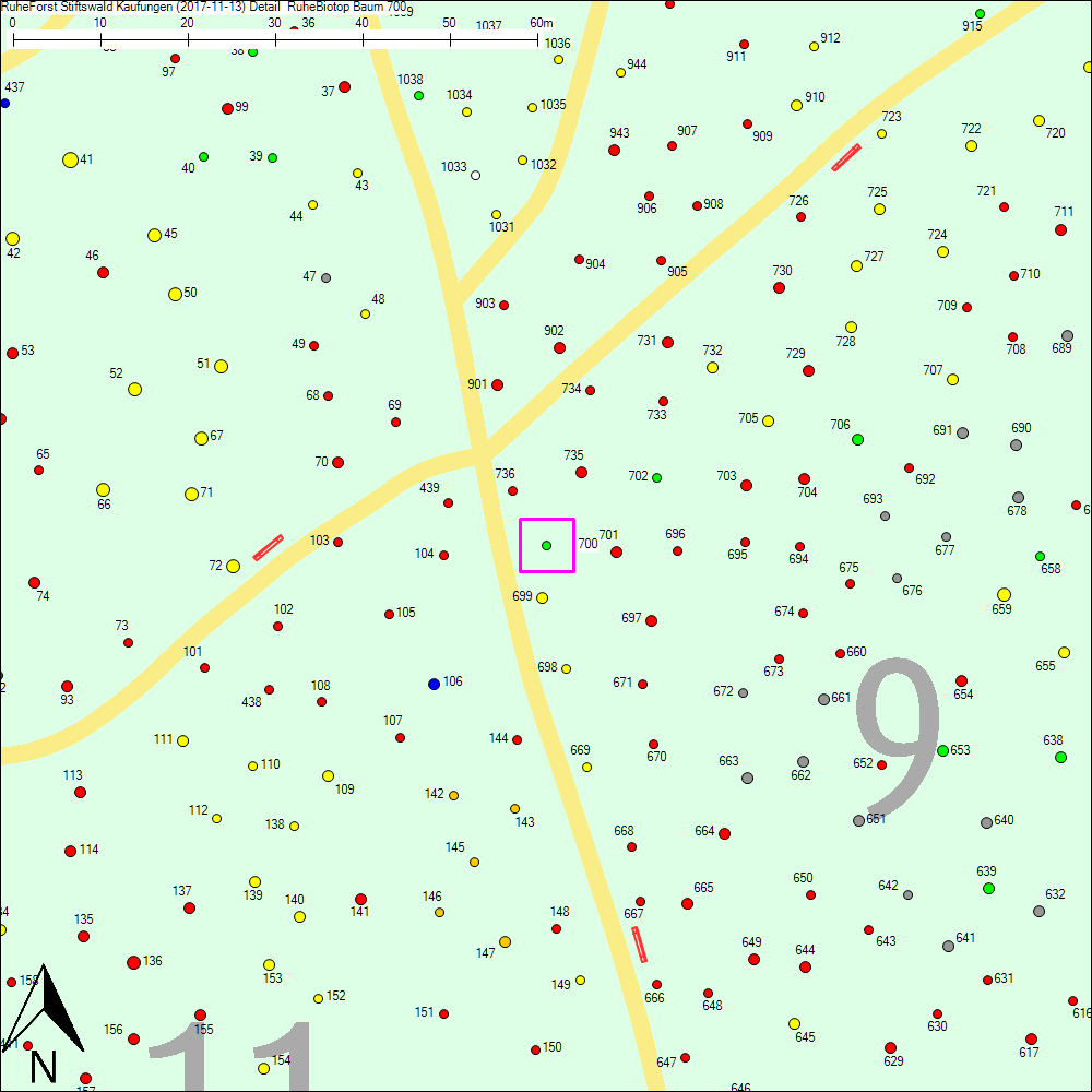 Detailkarte zu Baum 700