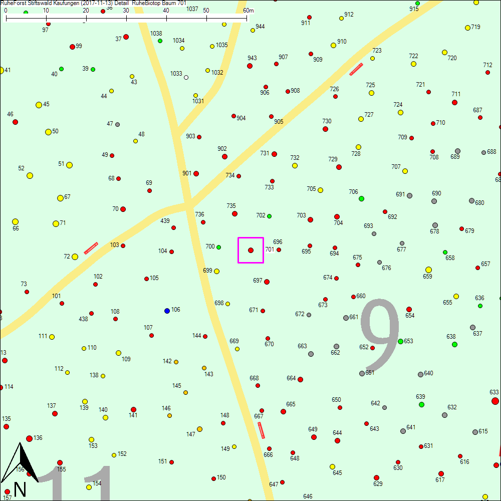 Detailkarte zu Baum 701