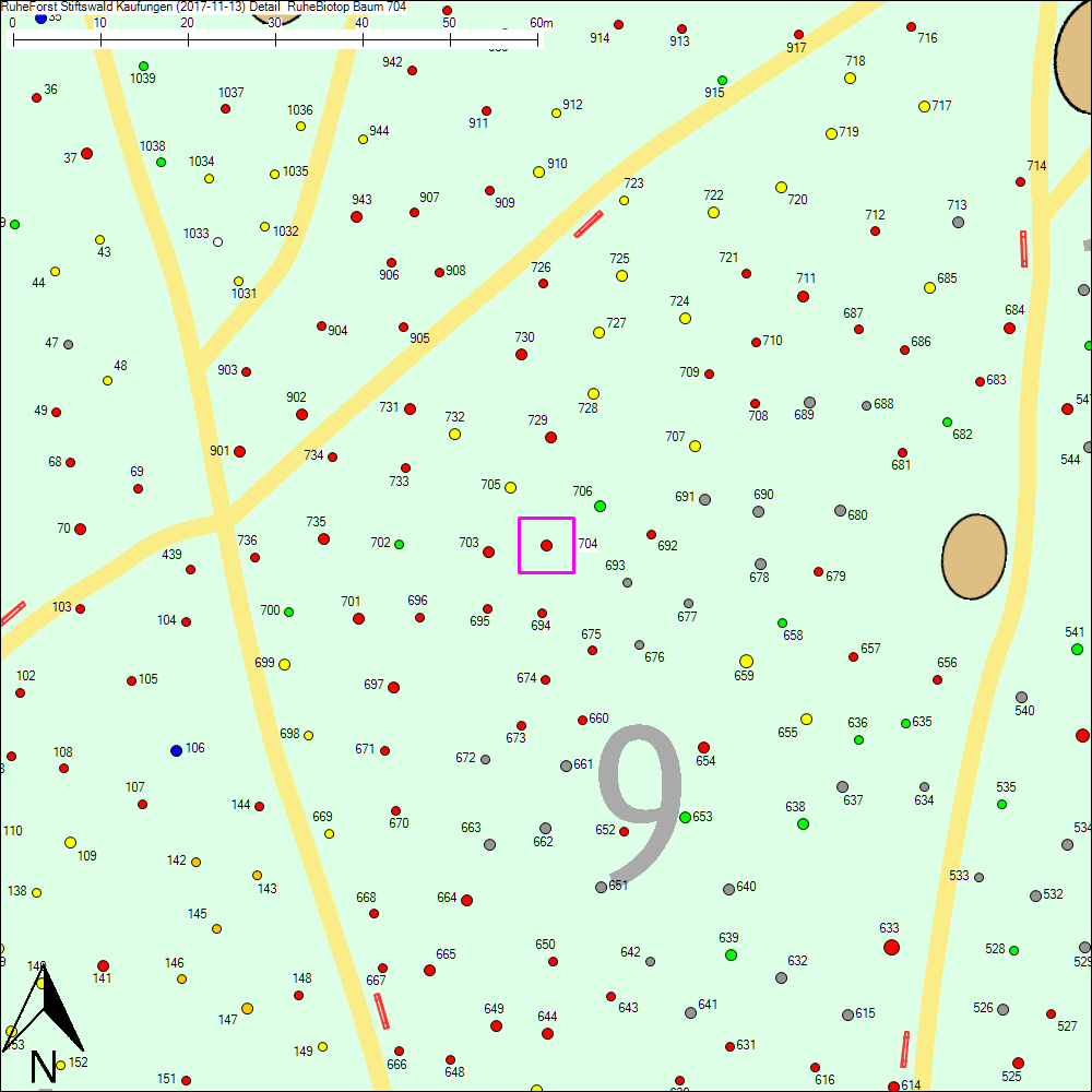 Detailkarte zu Baum 704