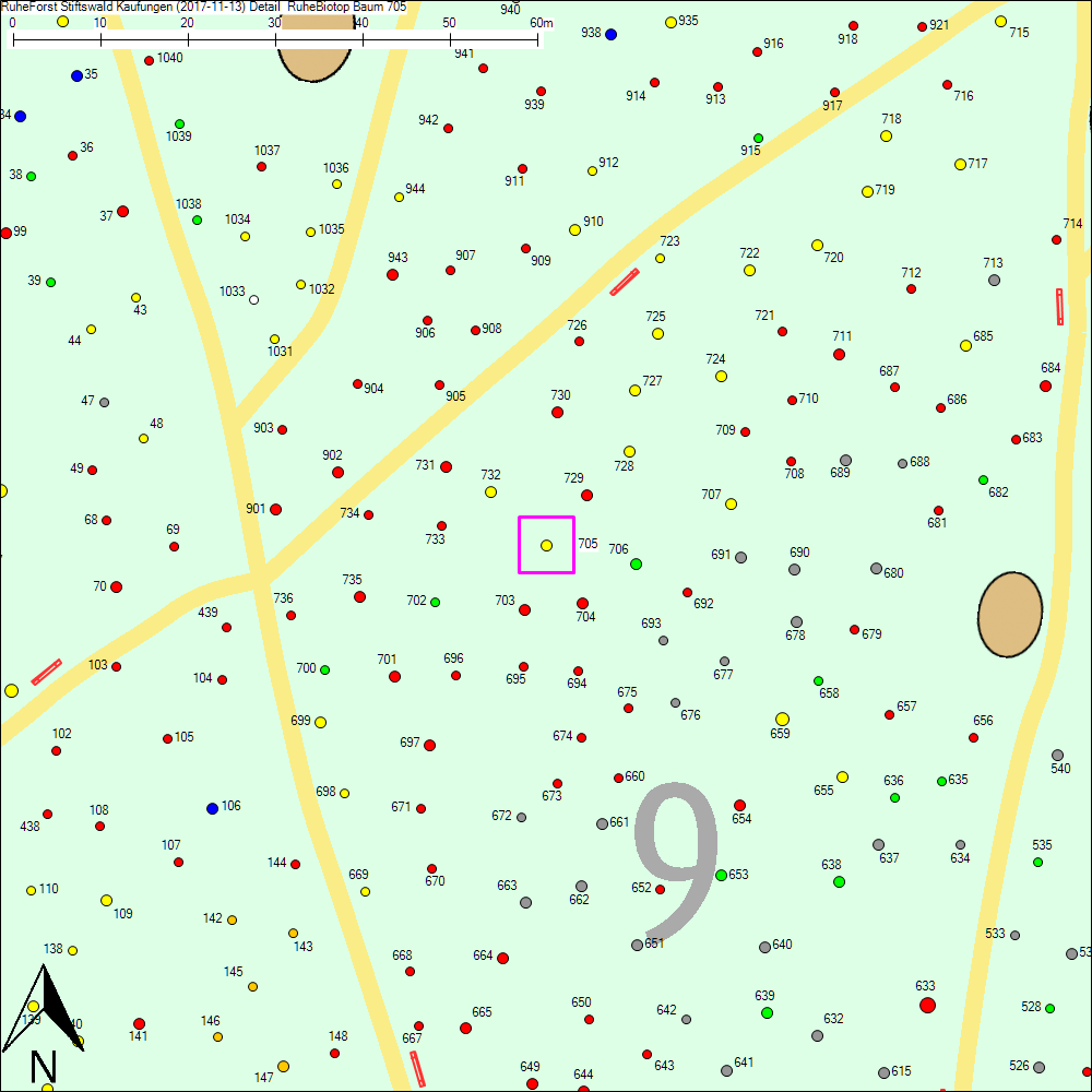 Detailkarte zu Baum 705