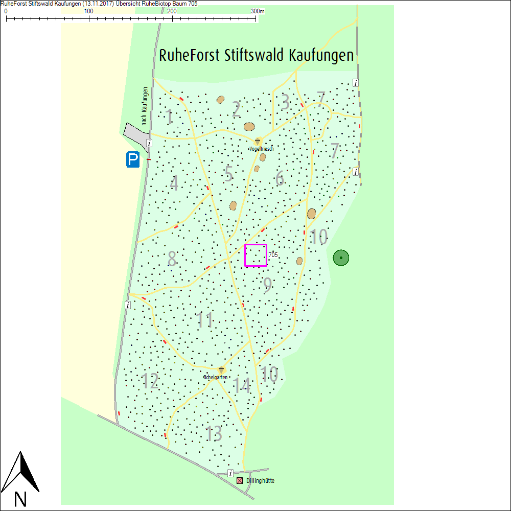 &Uuml;bersichtskarte zu Baum 705