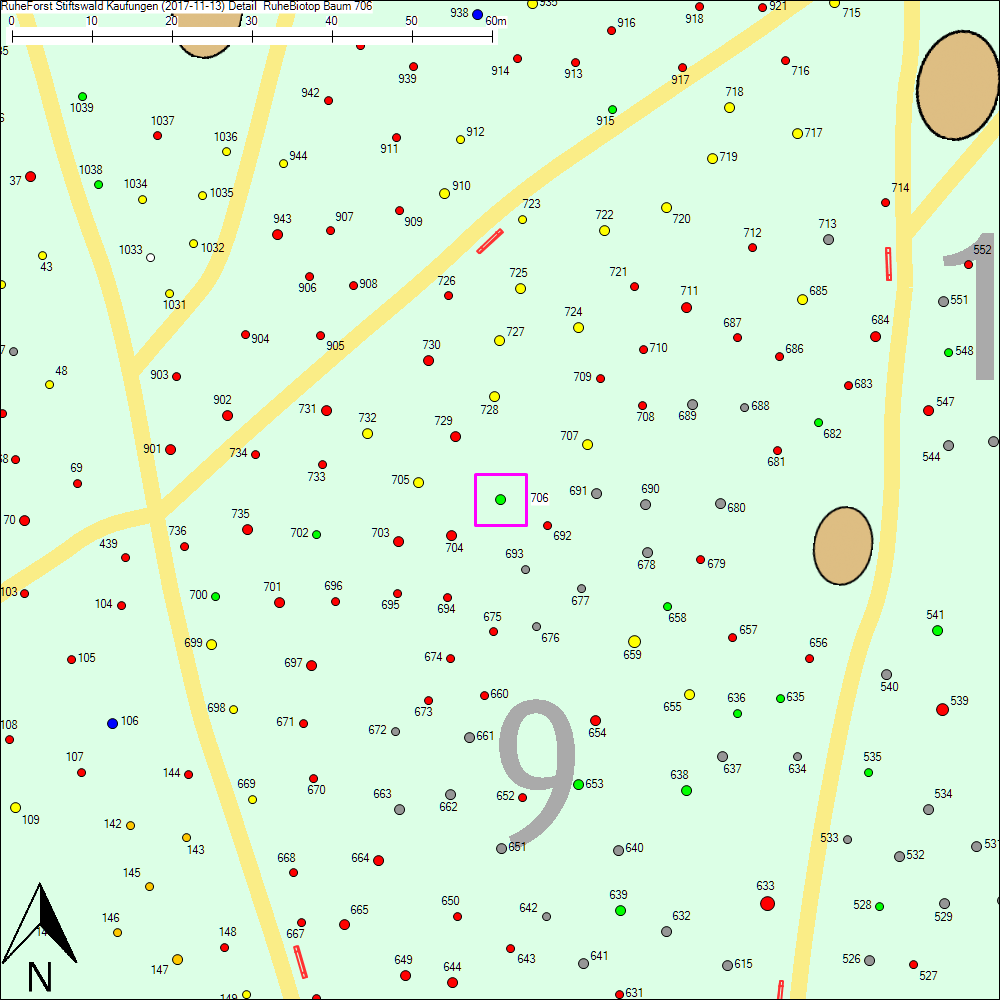 Detailkarte zu Baum 706