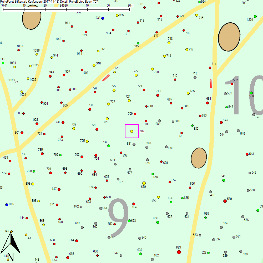 Detailkarte zu Baum 707