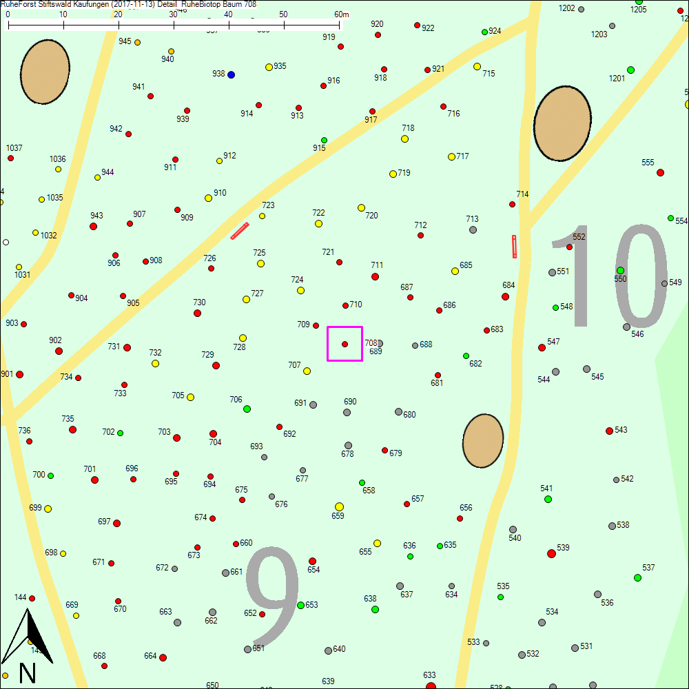 Detailkarte zu Baum 708
