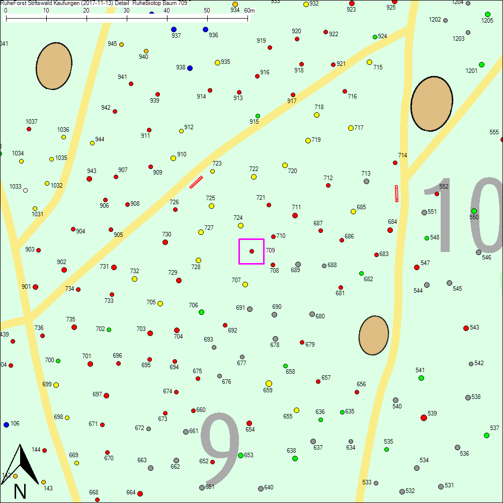Detailkarte zu Baum 709
