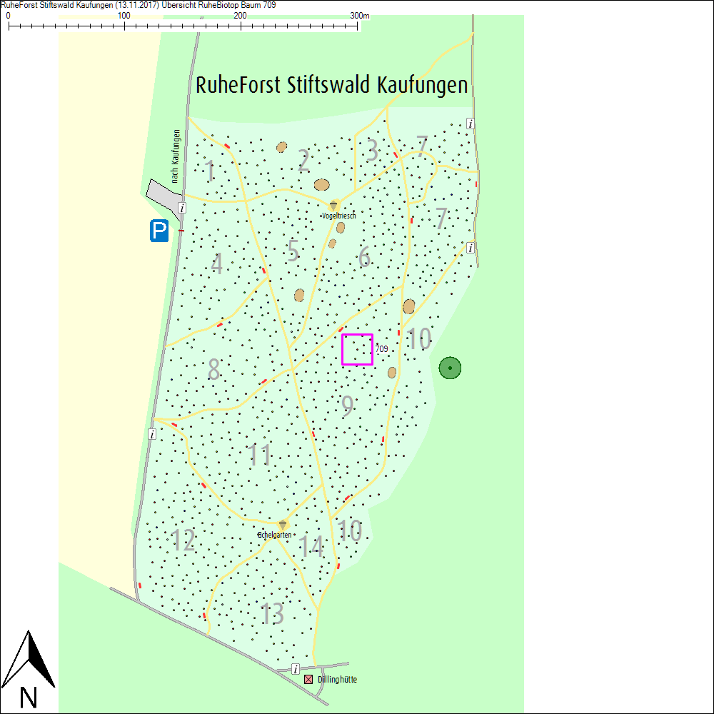&Uuml;bersichtskarte zu Baum 709