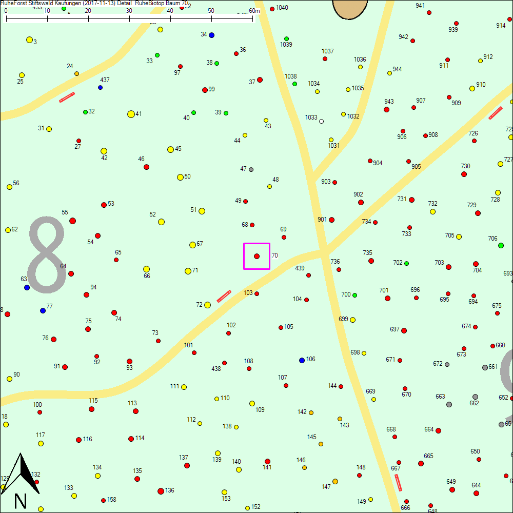 Detailkarte zu Baum 70
