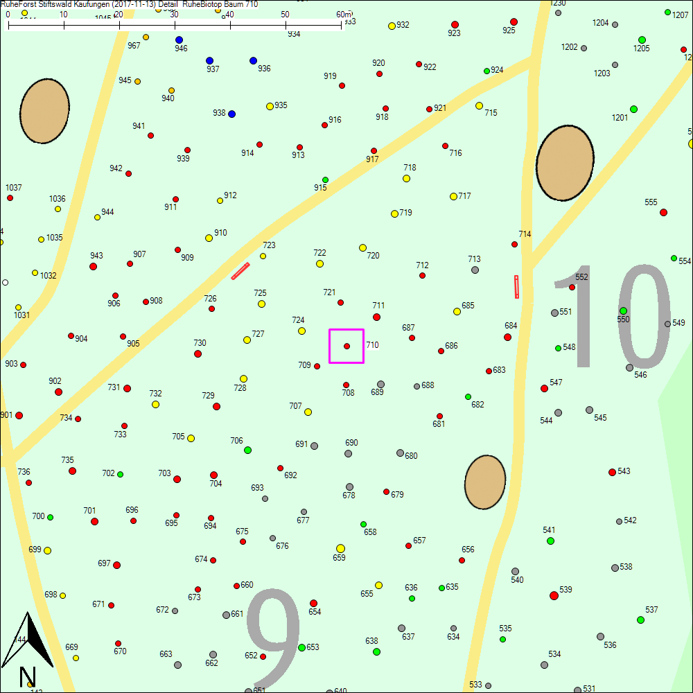 Detailkarte zu Baum 710