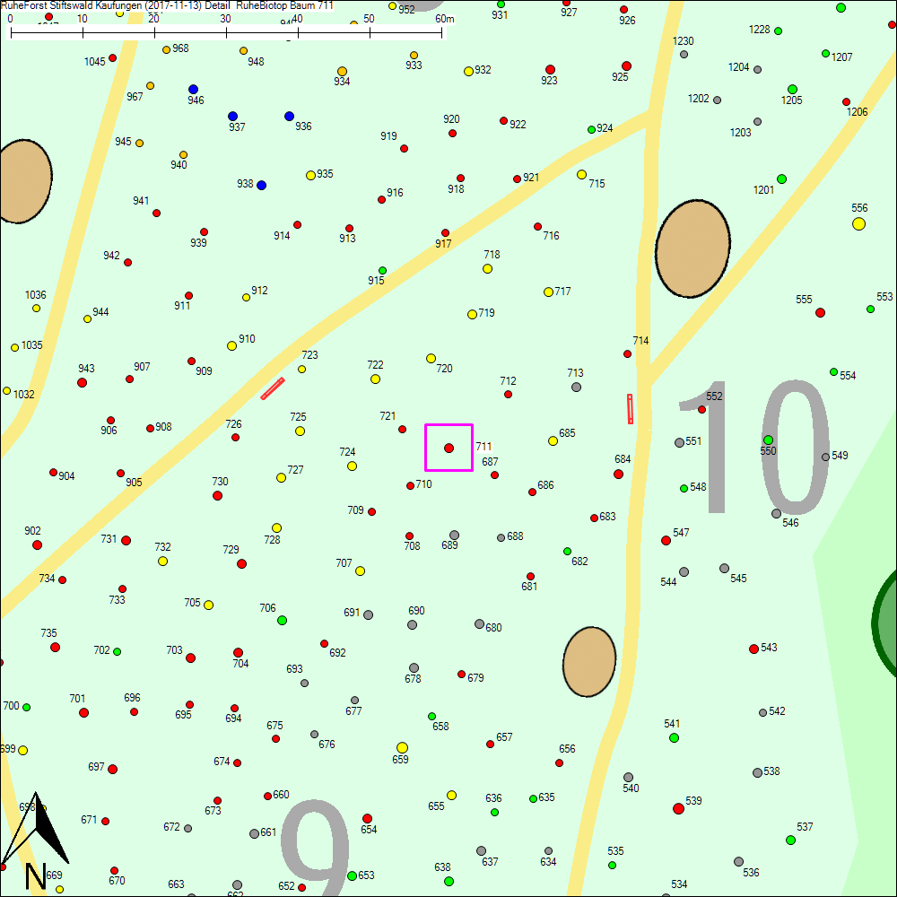 Detailkarte zu Baum 711