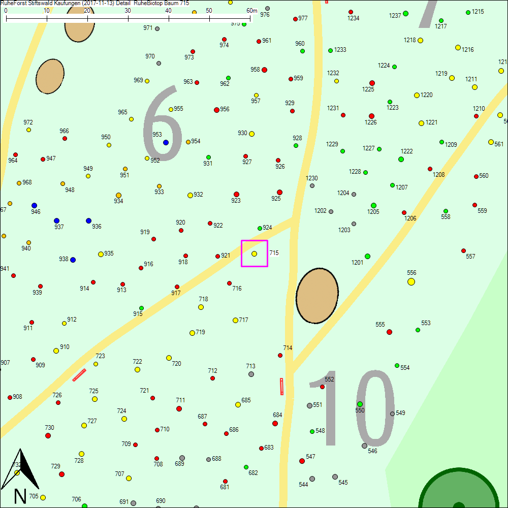 Detailkarte zu Baum 715