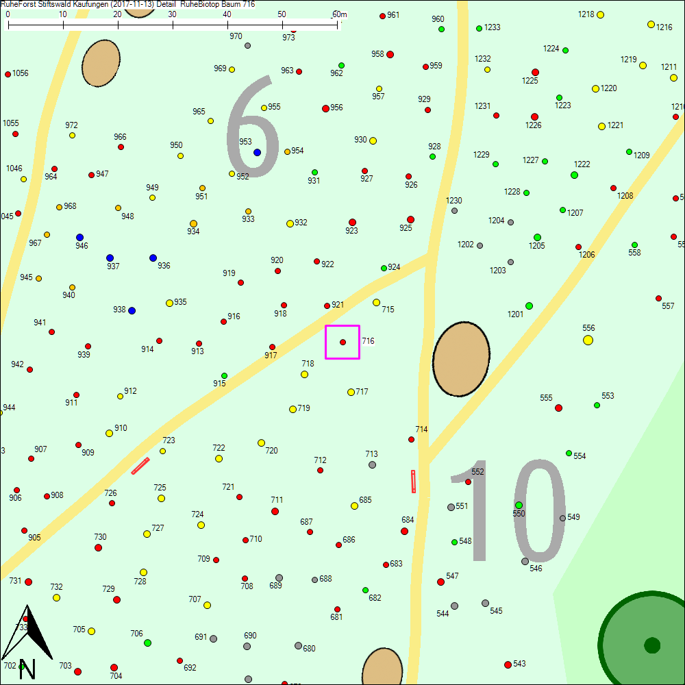 Detailkarte zu Baum 716