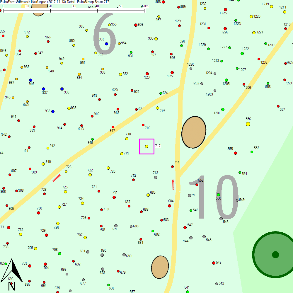 Detailkarte zu Baum 717
