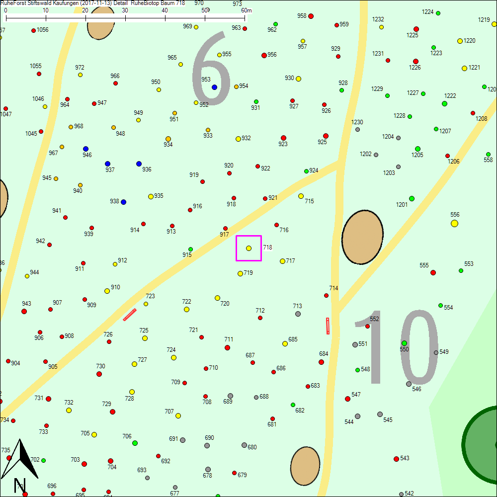 Detailkarte zu Baum 718