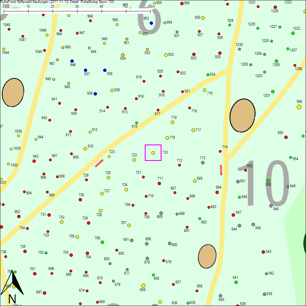 Detailkarte zu Baum 720