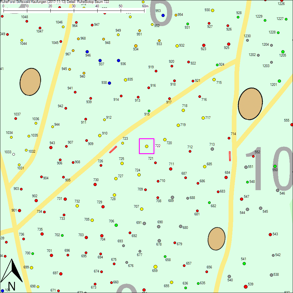 Detailkarte zu Baum 722