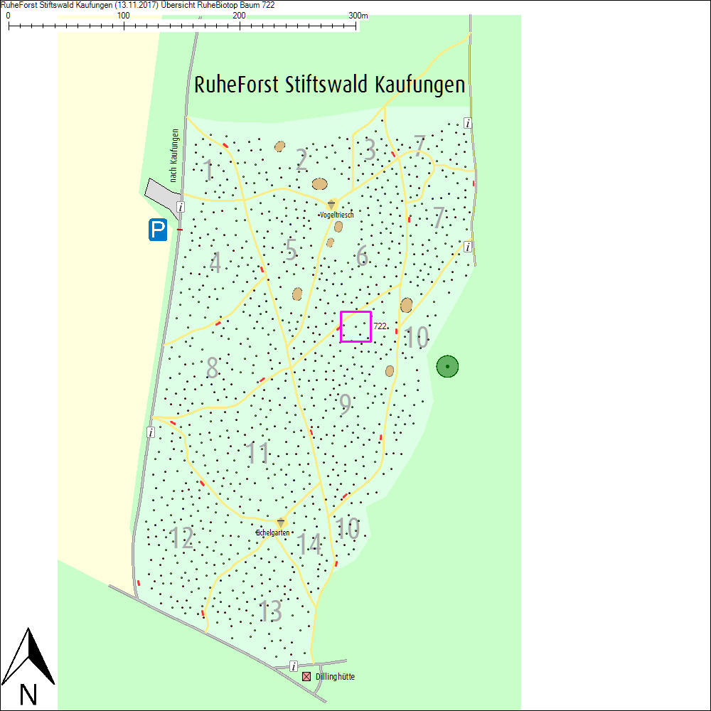 &Uuml;bersichtskarte zu Baum 722
