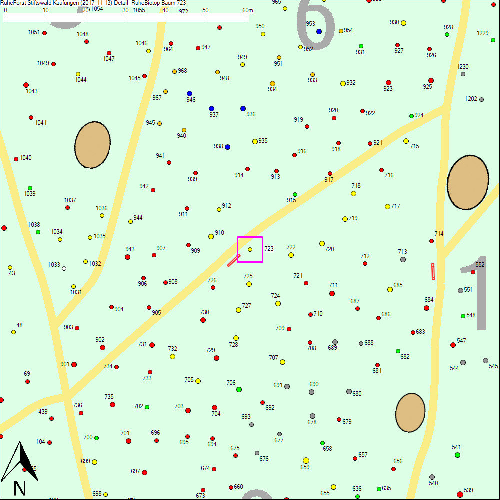 Detailkarte zu Baum 723