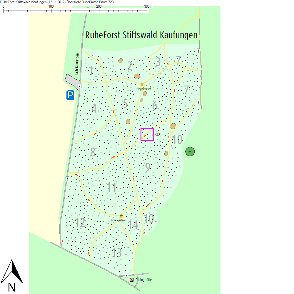 &Uuml;bersichtskarte zu Baum 723