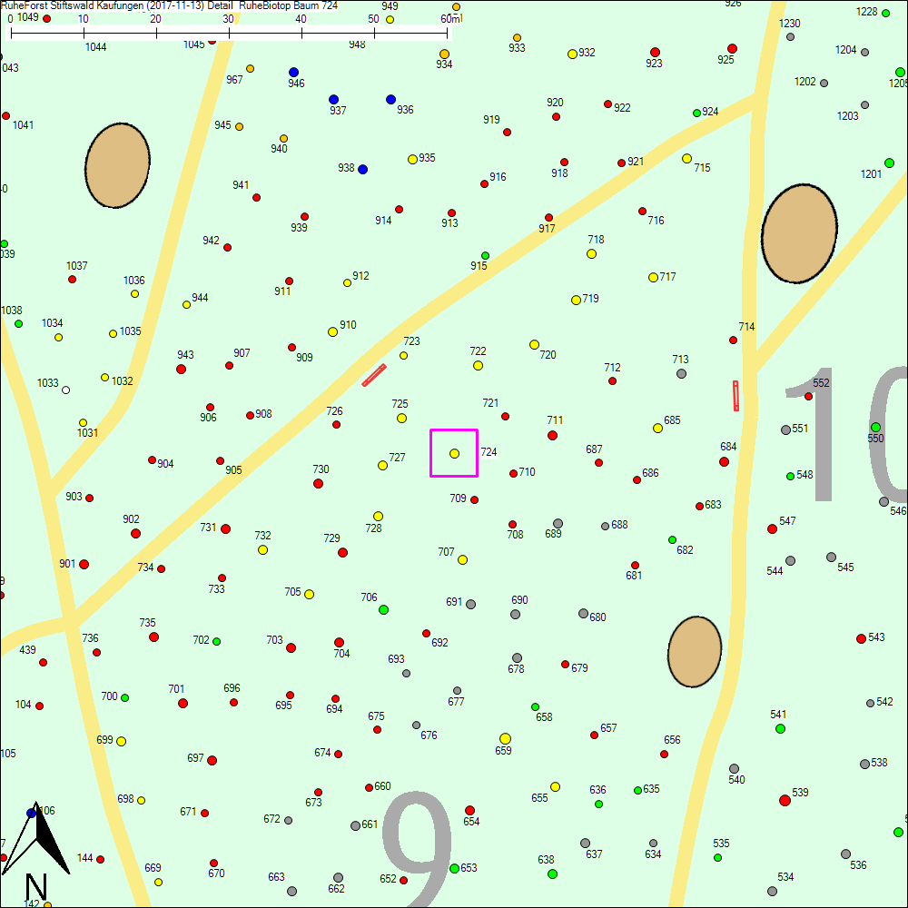 Detailkarte zu Baum 724