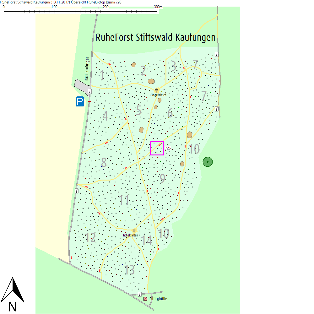 &Uuml;bersichtskarte zu Baum 726