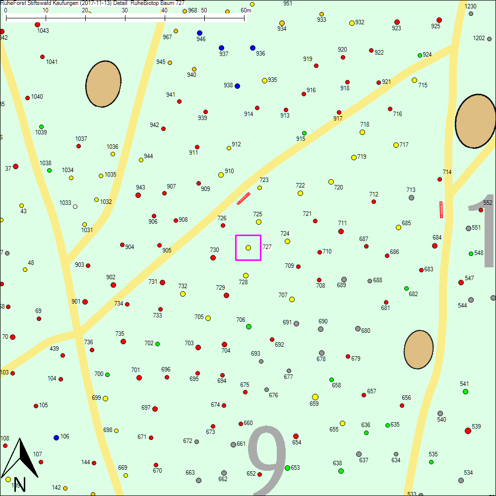 Detailkarte zu Baum 727