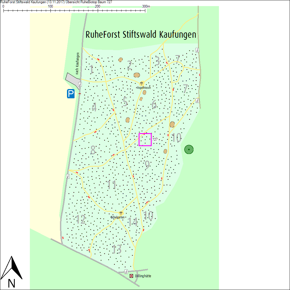 &Uuml;bersichtskarte zu Baum 727