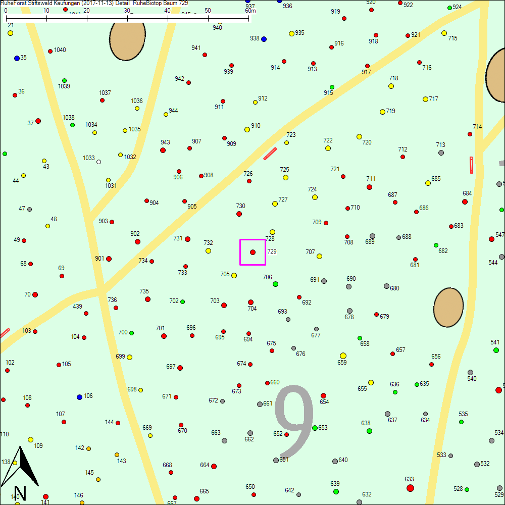 Detailkarte zu Baum 729