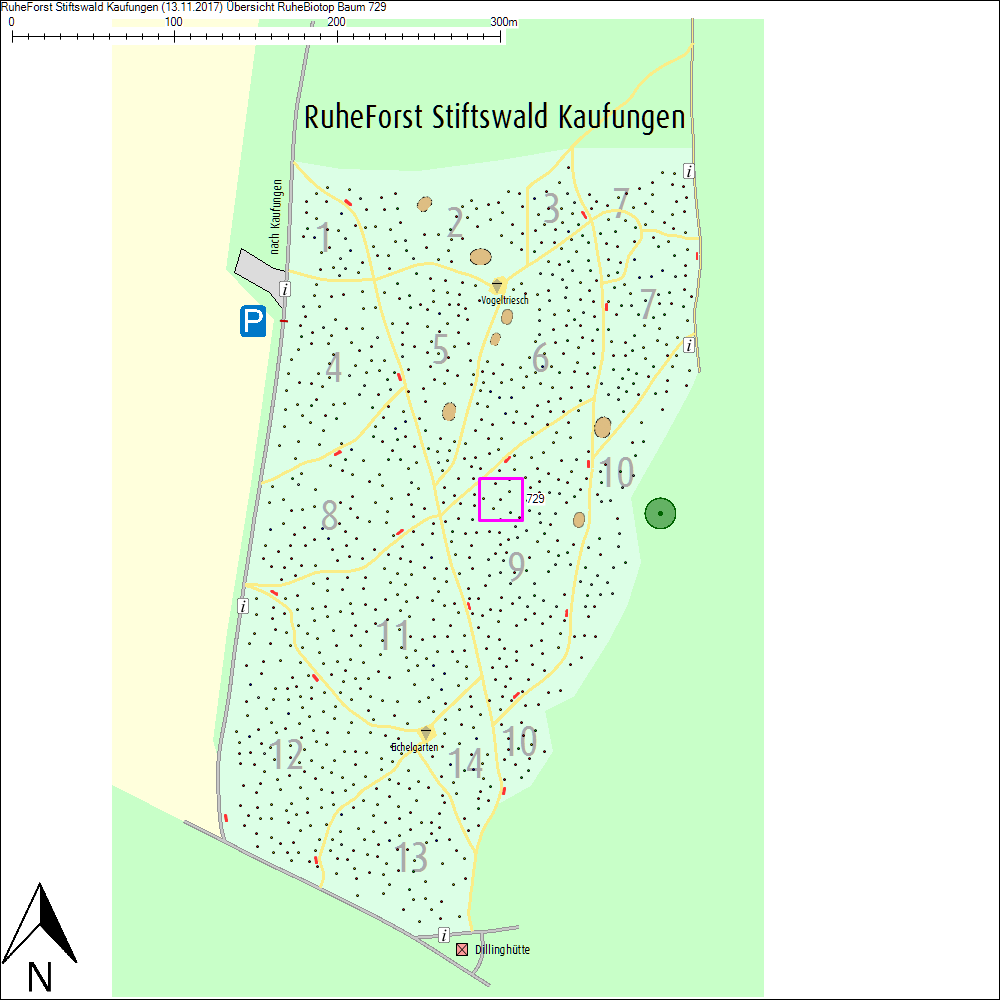 &Uuml;bersichtskarte zu Baum 729