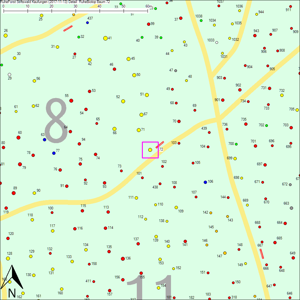 Detailkarte zu Baum 72