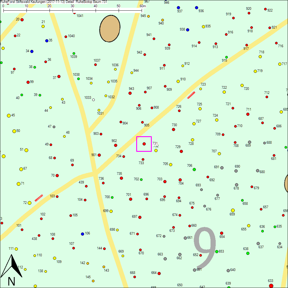 Detailkarte zu Baum 731