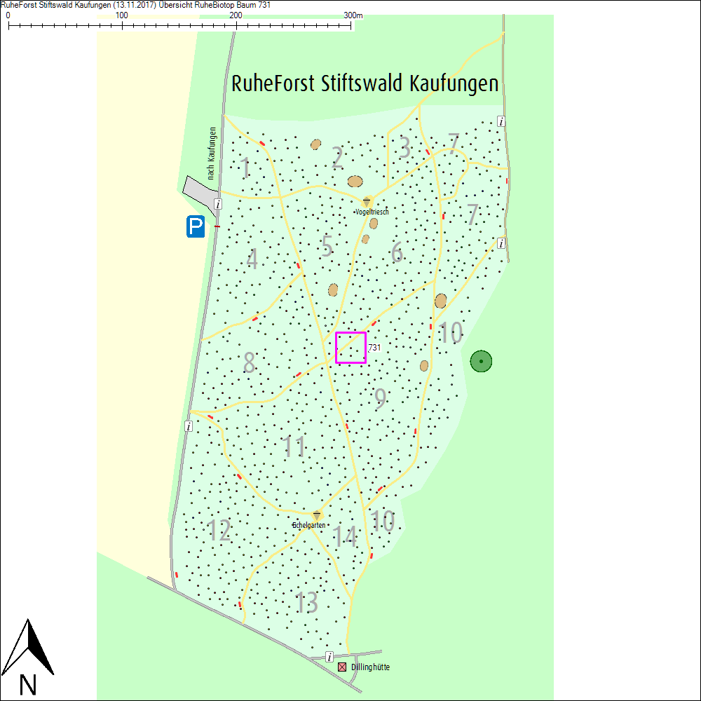 &Uuml;bersichtskarte zu Baum 731