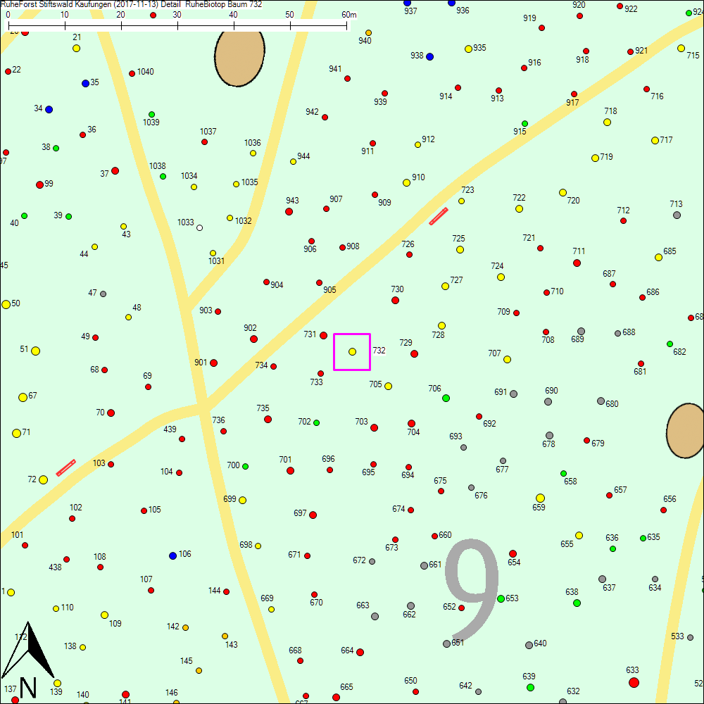 Detailkarte zu Baum 732