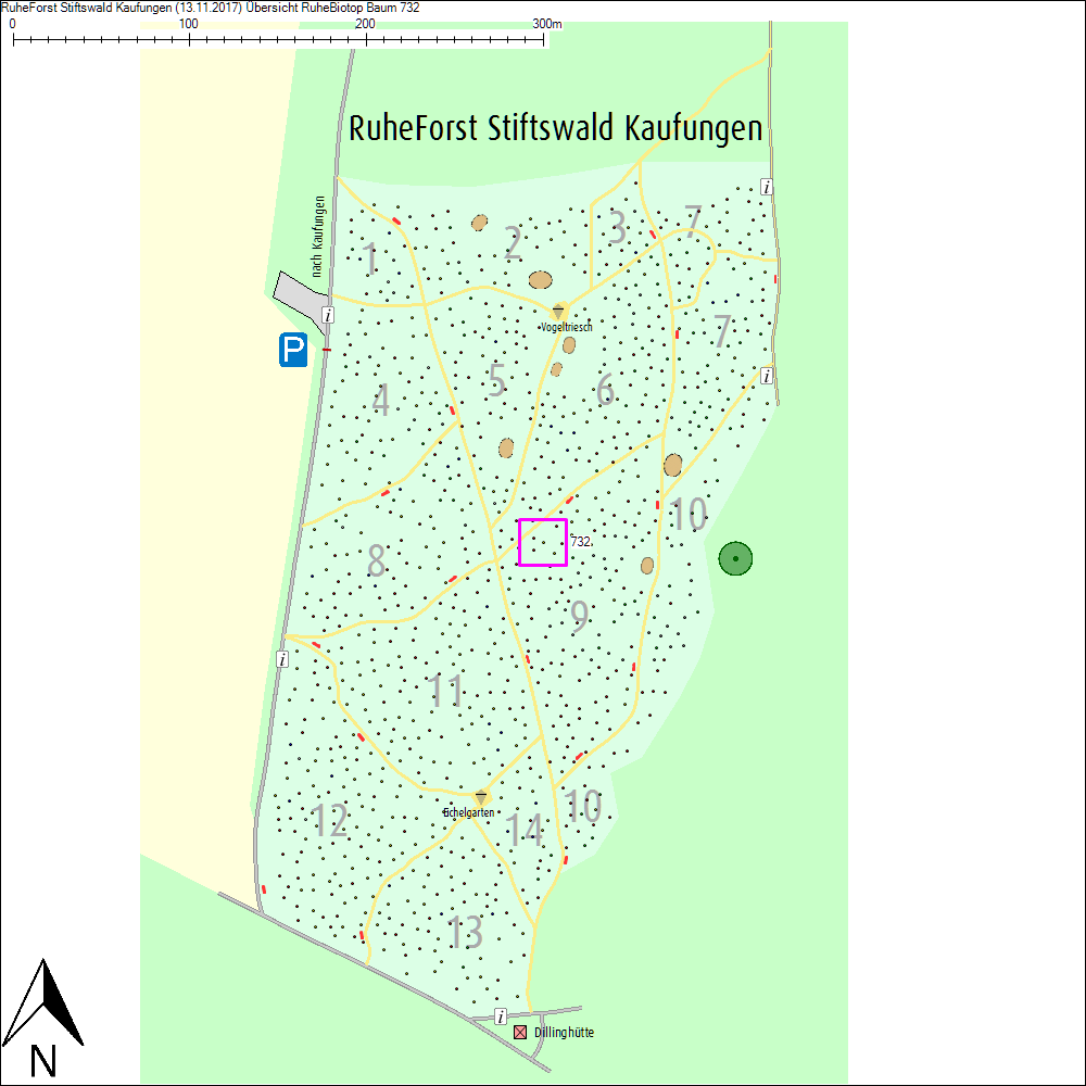 &Uuml;bersichtskarte zu Baum 732