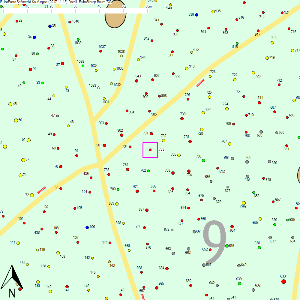 Detailkarte zu Baum 733