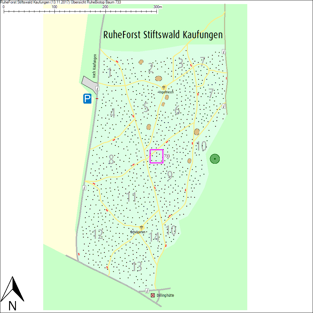 &Uuml;bersichtskarte zu Baum 733