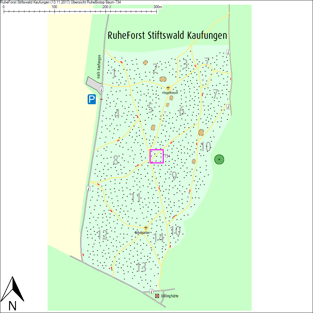 &Uuml;bersichtskarte zu Baum 734