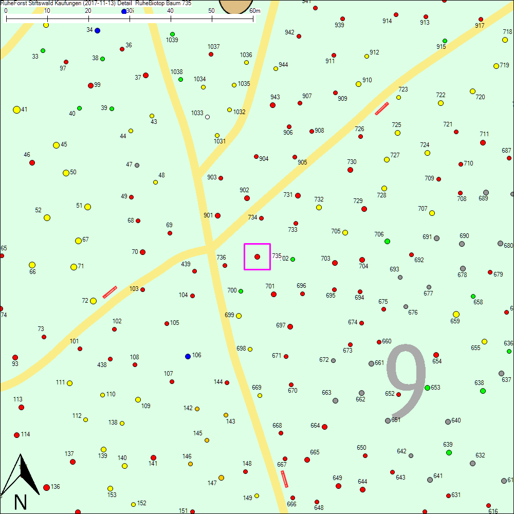 Detailkarte zu Baum 735